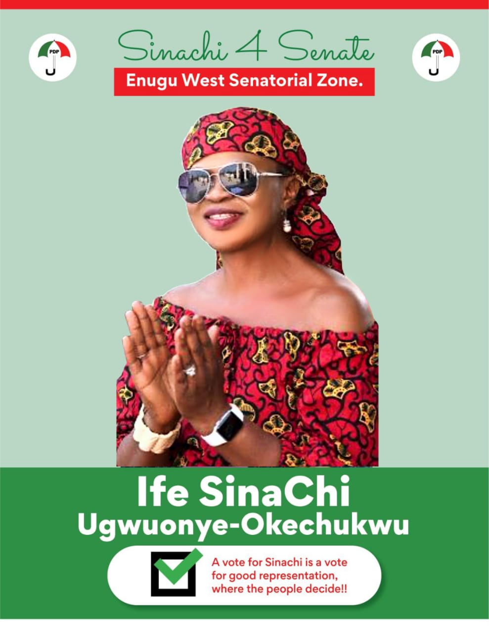 Read more about the article Dr. Sinachi Ugwuonye-Okechukwu Poised to Shake Up the Nigerian Senate